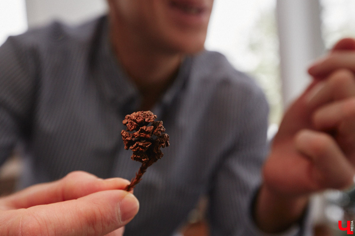 Уже полтора года, как владимирцы Алексей и Татьяна Логвиненко покинули каменные джунгли. Переехала чета с детьми не в типовой загородный дом, а в барнхаус, ставший частью их туристического проекта — энтоглэмпинга. Замыслом и подробностями быта пара поделилась с «Ключ-Медиа», заглянувшим к ним в гости.