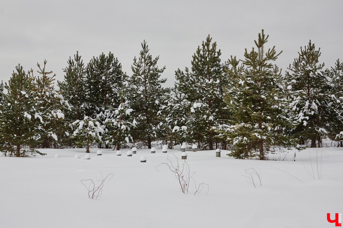 Уже полтора года, как владимирцы Алексей и Татьяна Логвиненко покинули каменные джунгли. Переехала чета с детьми не в типовой загородный дом, а в барнхаус, ставший частью их туристического проекта — энтоглэмпинга. Замыслом и подробностями быта пара поделилась с «Ключ-Медиа», заглянувшим к ним в гости.