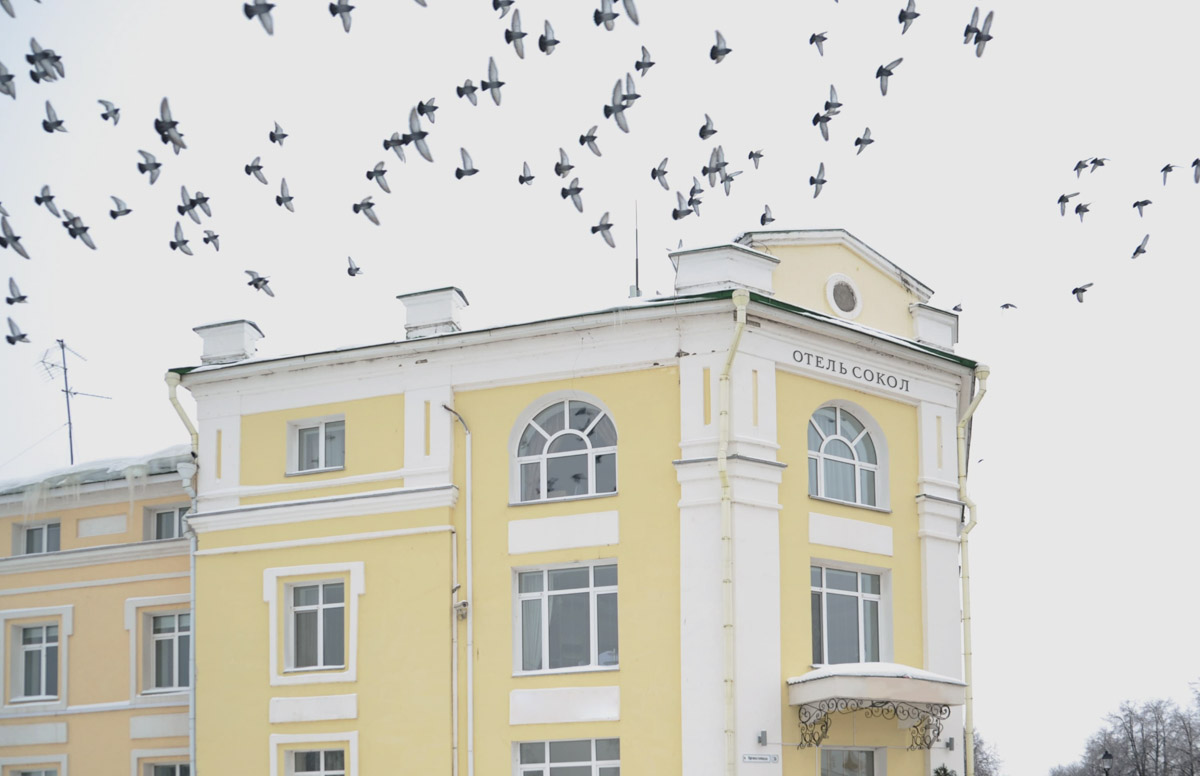 Студия Артемия Лебедева разработала новый дизайн вывесок к тысячелетию города-музея. Стилистика надписей отличается. И если одним предложенные для Суздаля варианты понравились, то другие считают, что шрифты можно и доработать.