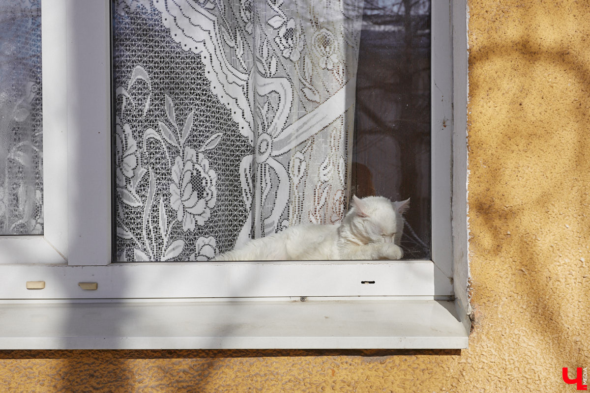 Улица Асаткина находится в Октябрьском районе города Владимира, недалеко от тракторного завода. Расширялся завод, вместе с ним росла и улица. Она идет от Гастелло до Кулибина параллельно Горького и застроена двухэтажными и трехэтажными жилыми домами 40-60-х годов. Давайте же вместе прогуляемся по Асаткина, осмотрим достопримечательности этой улицы, вспомним ее необычную историю и выдающихся людей, связанных с ней.