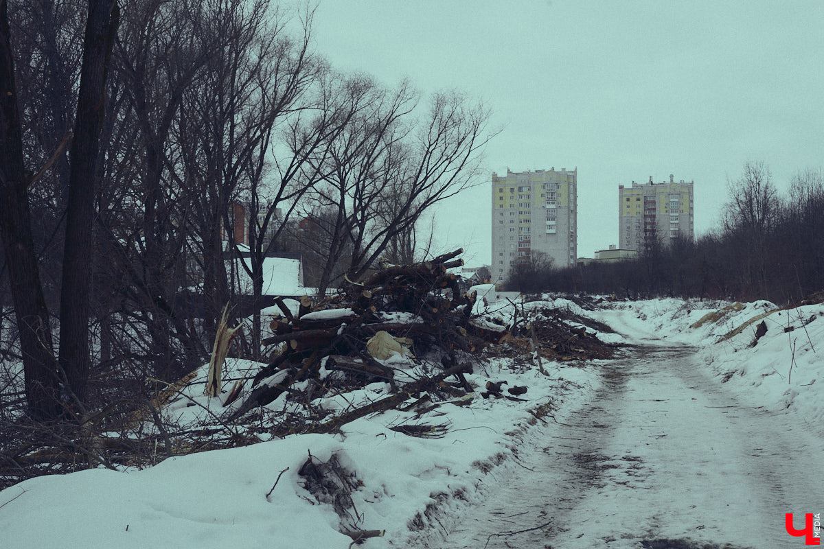 Во Владимире дефицит оазисов. Некогда утопавший в зелени город постепенно превращается в индустриальный короб, обшитый вентфасадом. «Ключ-Медиа» решил рассмотреть проблему в свойственной ему манере — при помощи творчества. Площадкой для перформанса на злобу дня стали старые сады на улице Мира, где проходит массовая вырубка деревьев.