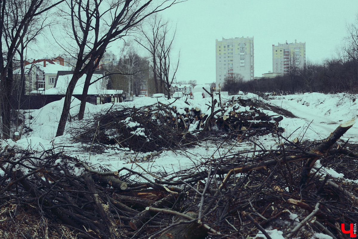 Во Владимире дефицит оазисов. Некогда утопавший в зелени город постепенно превращается в индустриальный короб, обшитый вентфасадом. «Ключ-Медиа» решил рассмотреть проблему в свойственной ему манере — при помощи творчества. Площадкой для перформанса на злобу дня стали старые сады на улице Мира, где проходит массовая вырубка деревьев.