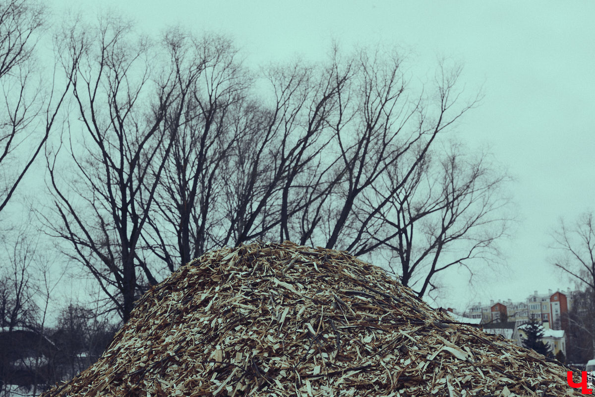 Во Владимире дефицит оазисов. Некогда утопавший в зелени город постепенно превращается в индустриальный короб, обшитый вентфасадом. «Ключ-Медиа» решил рассмотреть проблему в свойственной ему манере — при помощи творчества. Площадкой для перформанса на злобу дня стали старые сады на улице Мира, где проходит массовая вырубка деревьев.