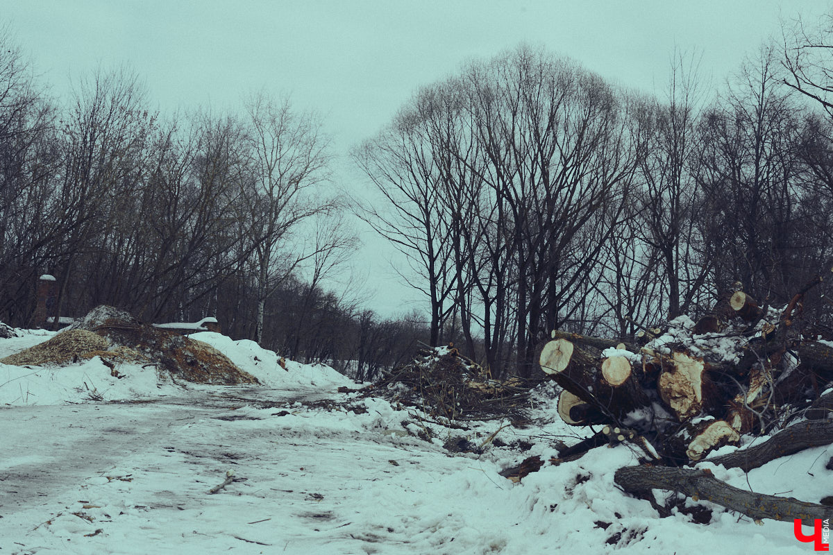 Во Владимире дефицит оазисов. Некогда утопавший в зелени город постепенно превращается в индустриальный короб, обшитый вентфасадом. «Ключ-Медиа» решил рассмотреть проблему в свойственной ему манере — при помощи творчества. Площадкой для перформанса на злобу дня стали старые сады на улице Мира, где проходит массовая вырубка деревьев.