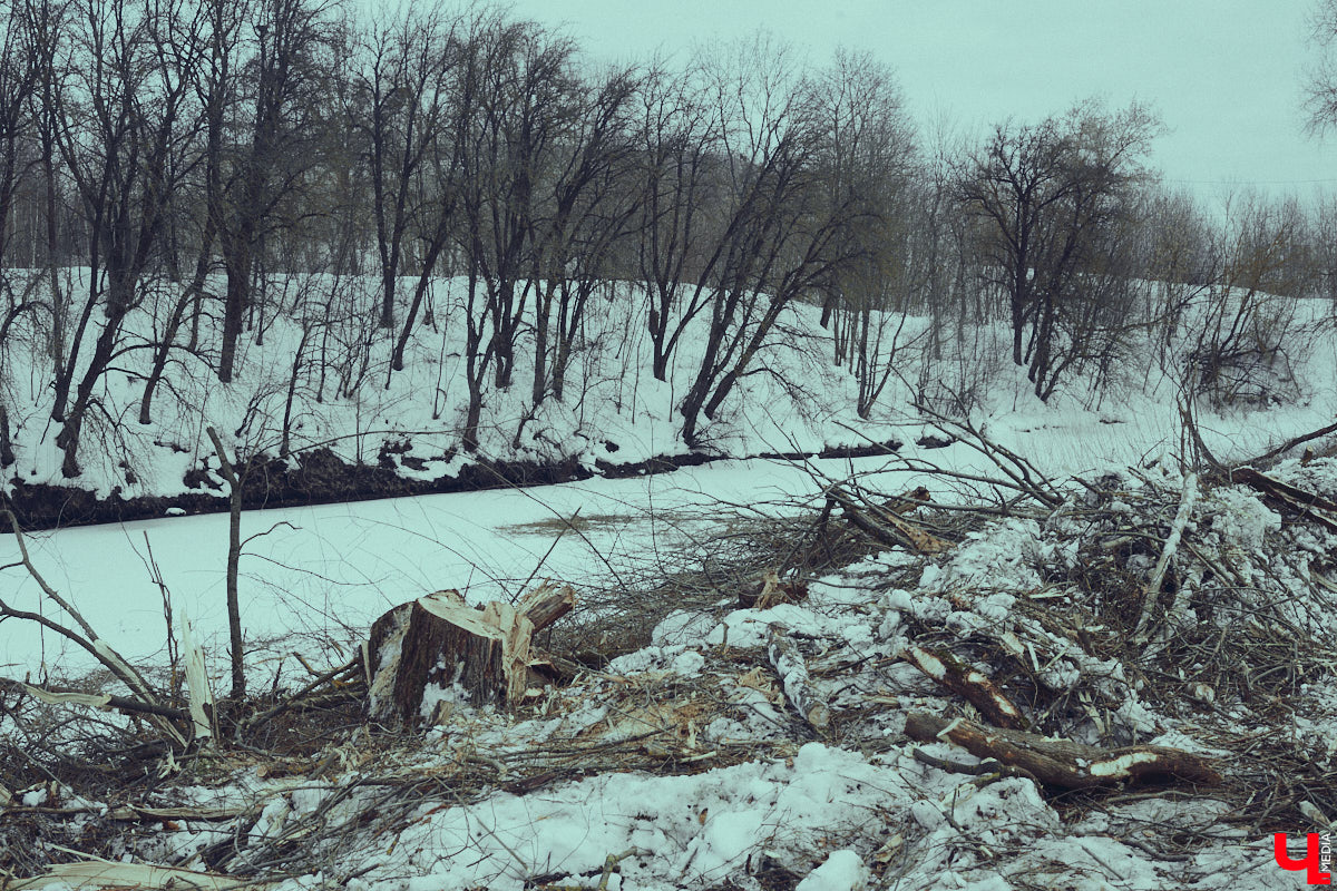 Во Владимире дефицит оазисов. Некогда утопавший в зелени город постепенно превращается в индустриальный короб, обшитый вентфасадом. «Ключ-Медиа» решил рассмотреть проблему в свойственной ему манере — при помощи творчества. Площадкой для перформанса на злобу дня стали старые сады на улице Мира, где проходит массовая вырубка деревьев.