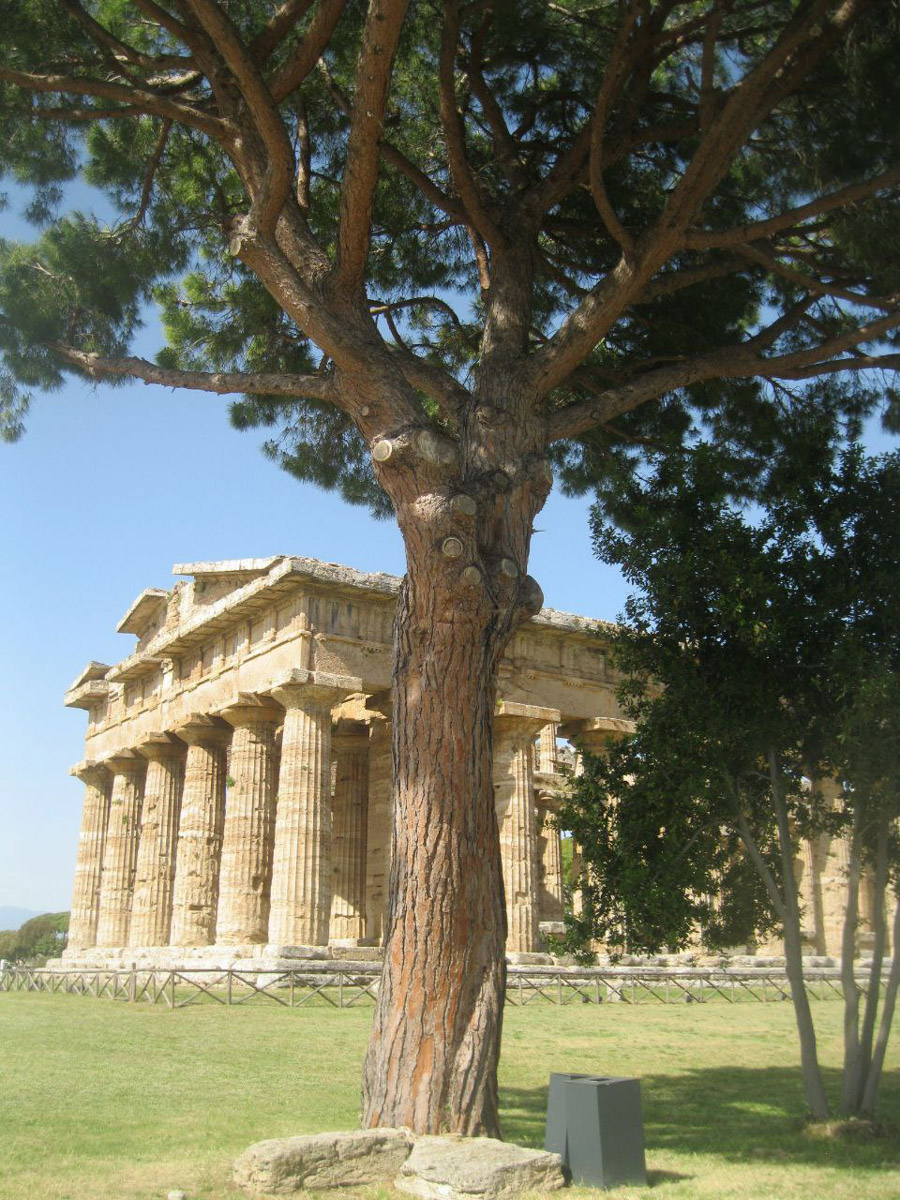 В Неаполь Елену Дмитриеву из Владимира привело одно простое желание изучать итальянский язык. Сейчас она не может жить без этого города, где периодически отдыхает на протяжении уже восьми лет, останавливаясь в небольшом домике с террасой на крыше старинного палаццо. Чем же так притягательна родина пиццы, путешественница поведала нашему изданию.