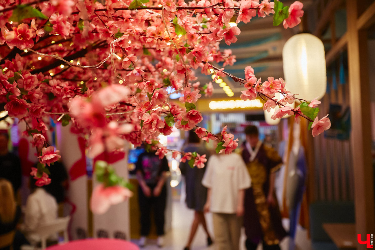 Южная Корея сейчас один из главных трендсеттеров. Люди обожают k-pop айдолов и массово смотрят дорамы. Кусочек яркой страны появился и во Владимире. Рассказываем о концепции нового фуд-проекта, в рамках которого прошла закрытая дегустация с участием «Ключ-Медиа» и популярных блогеров.