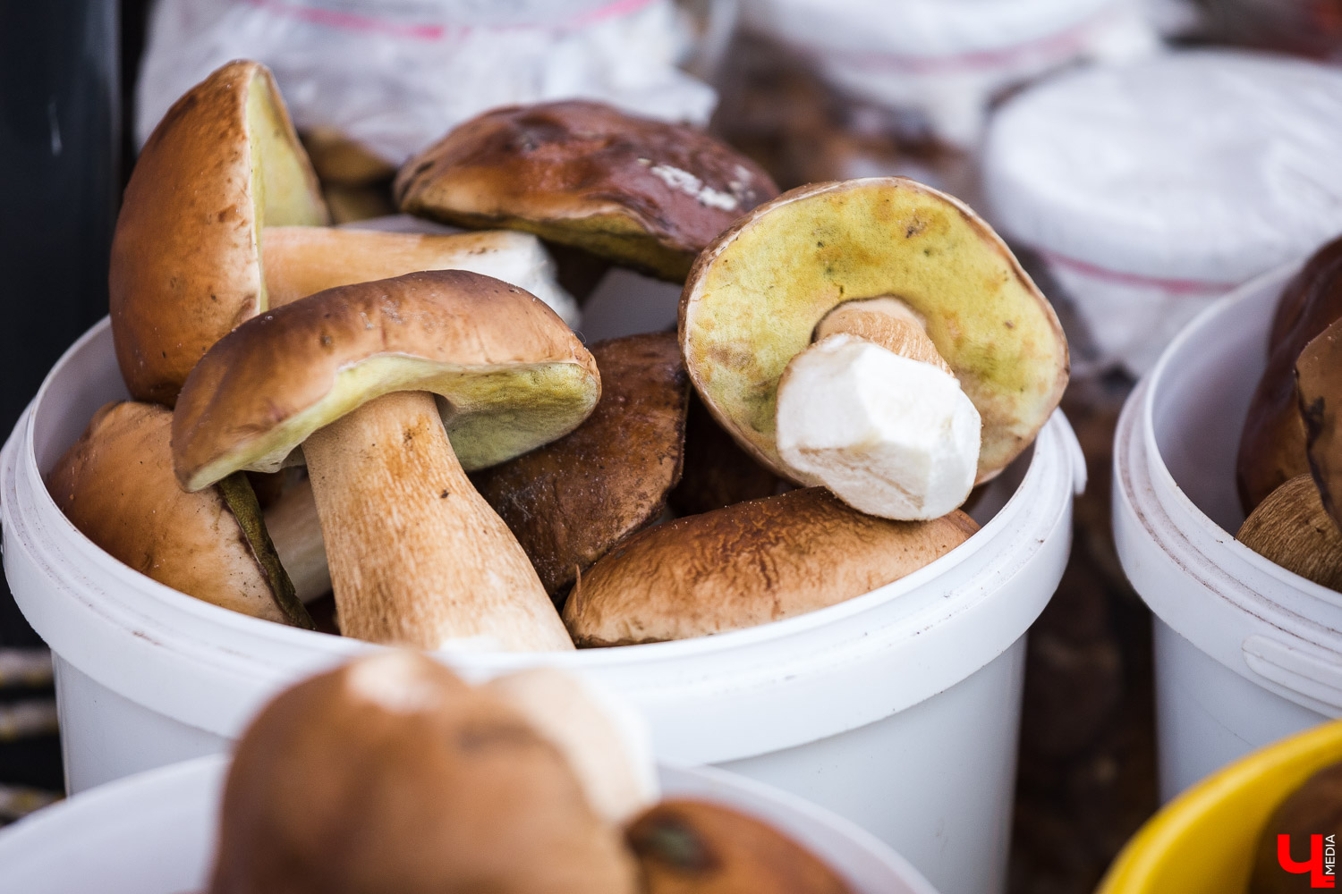 Во Владимире продолжается реновация Центрального рынка, расположенного на улице Батурина. Проект благоустройства затронет как торговые залы, так и прилегающие территории. В результате торговая точка должна стать не только главным местом продажи продукции местных производителей, но и современной, а главное комфортной локацией для продавцов и покупателей.