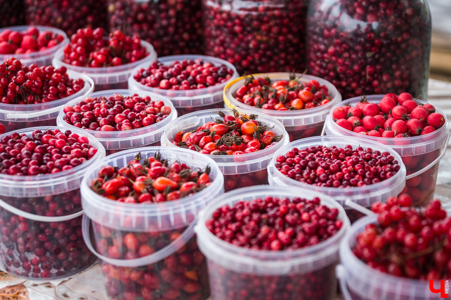 Во Владимире продолжается реновация Центрального рынка, расположенного на улице Батурина. Проект благоустройства затронет как торговые залы, так и прилегающие территории. В результате торговая точка должна стать не только главным местом продажи продукции местных производителей, но и современной, а главное комфортной локацией для продавцов и покупателей.