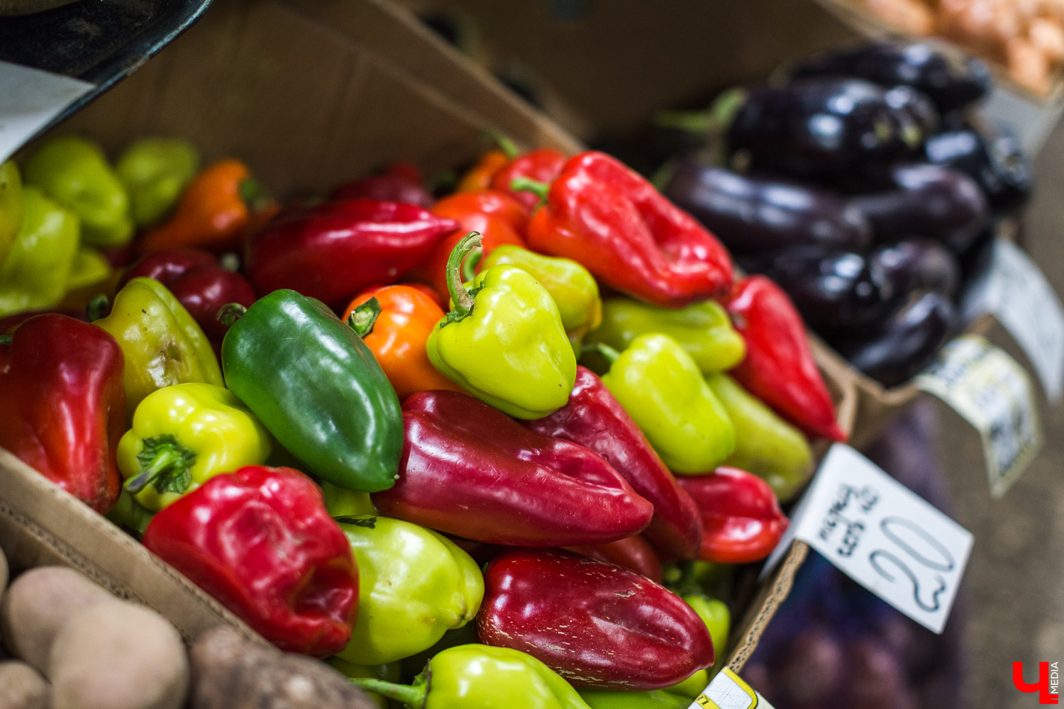 Во Владимире продолжается реновация Центрального рынка, расположенного на улице Батурина. Проект благоустройства затронет как торговые залы, так и прилегающие территории. В результате торговая точка должна стать не только главным местом продажи продукции местных производителей, но и современной, а главное комфортной локацией для продавцов и покупателей.