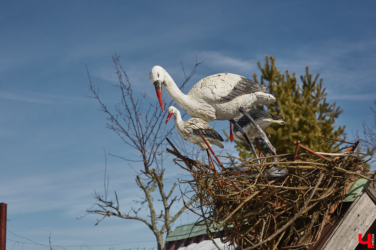 Умелец из Судогодского района построил на своем участке избушку на курьих ножках. Домик Бабы-яги не просто стоит, а еще и вращается на 360 градусов. Сейчас Владимир Панин приводит механизм в движение вручную, но в будущем планирует усовершенствовать конструкцию, чтобы с помощью пульта поворачивать собственное творение «к себе передом, к лесу задом». «Ключ-Медиа» отправился в гости к сказке за атмосферным фоторепортажем.