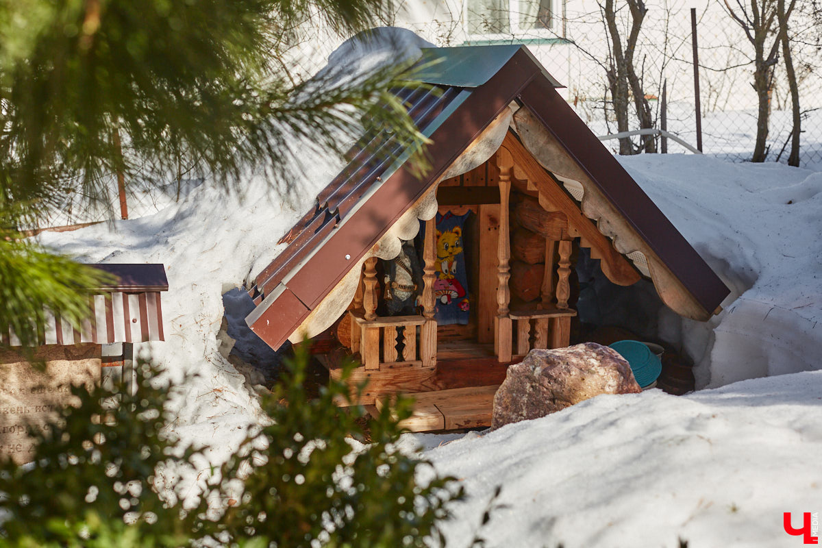 Умелец из Судогодского района построил на своем участке избушку на курьих ножках. Домик Бабы-яги не просто стоит, а еще и вращается на 360 градусов. Сейчас Владимир Панин приводит механизм в движение вручную, но в будущем планирует усовершенствовать конструкцию, чтобы с помощью пульта поворачивать собственное творение «к себе передом, к лесу задом». «Ключ-Медиа» отправился в гости к сказке за атмосферным фоторепортажем.