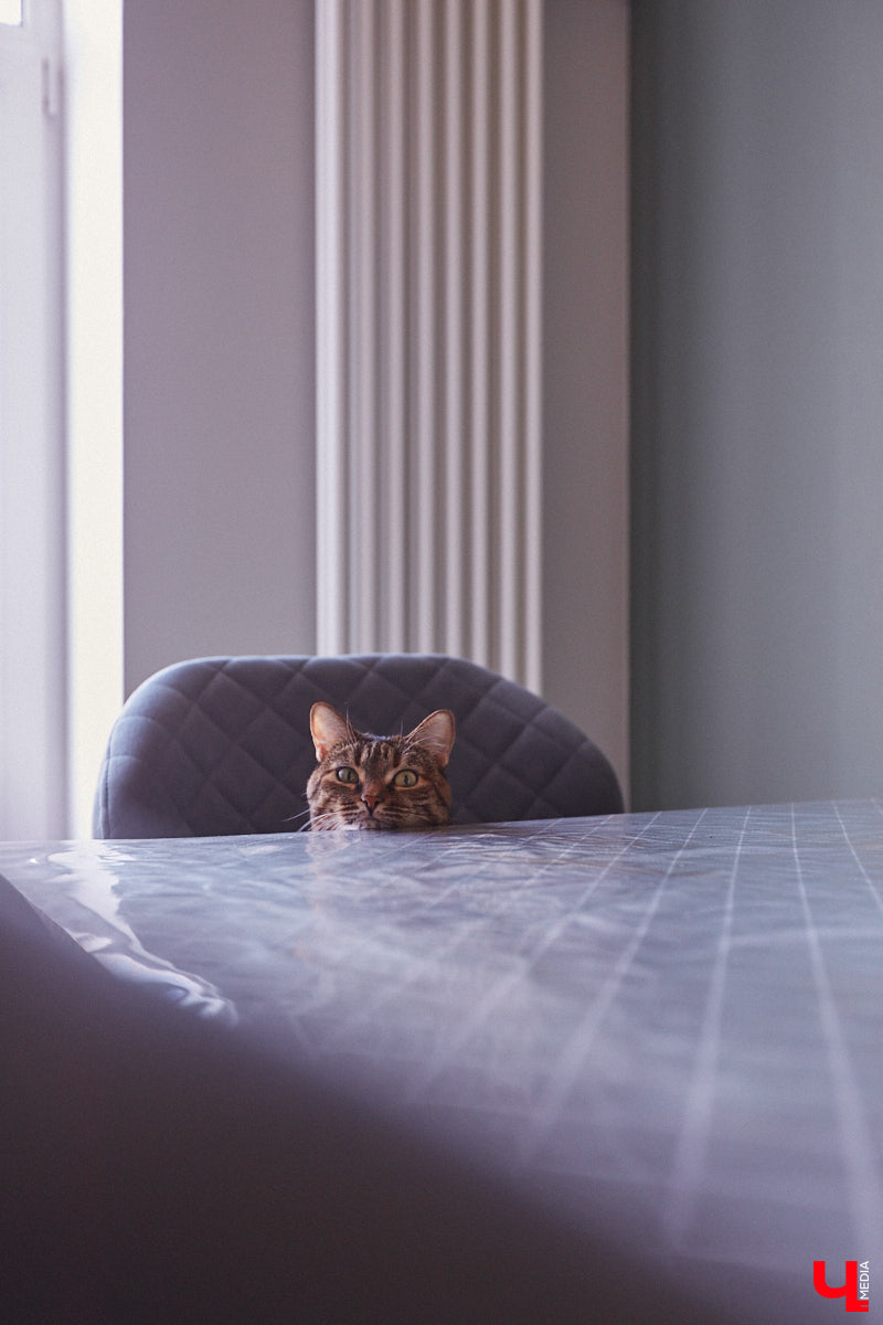 Каково жить в «сталинке» 1955 года строения в самом сердце Владимира большой семье, которая несколько лет обитала в микрорайоне Пиганово и планировала скорее переезд в коттедж с собственным участком земли? Об этом «Ключ-Медиа» поведала многодетная мама и хозяйка четырехкомнатной квартиры с французскими окнами, расположенной в доме на Больших Ременниках, Алёна Ишутина.