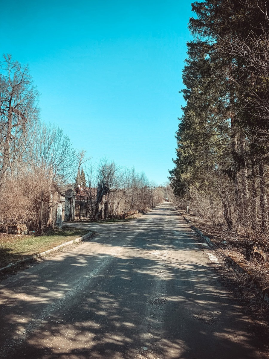 Родовое гнездо Воронцовых-Дашковых — достояние 33-го региона. Его даже включили в число красивейших заброшенных усадеб страны. Архитектурный ансамбль с каменным дворцом вызывает трепет от осознания его былого величия. А действительно, почему бы нам с вами не отправиться на экскурсию в глубь веков?