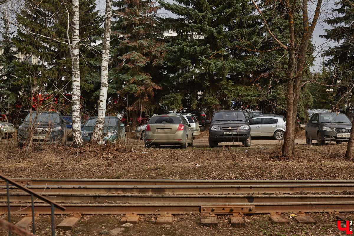Срубили наши елочки… Нет, это не цитата из известной детской песенки, а слова владимирцев, снова сетующих на вырубку в областном центре здоровых деревьев. На сей раз под колесами экскаваторов канули в небытие три вечнозеленых растения у Art Hall. По словам рабочих, которые трудятся на месте, все ради очередной парковки.