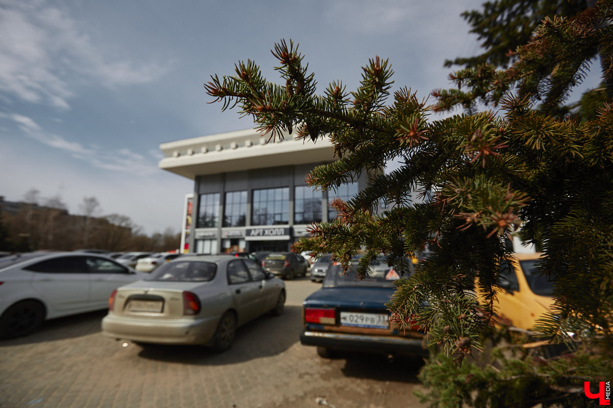 Срубили наши елочки… Нет, это не цитата из известной детской песенки, а слова владимирцев, снова сетующих на вырубку в областном центре здоровых деревьев. На сей раз под колесами экскаваторов канули в небытие три вечнозеленых растения у Art Hall. По словам рабочих, которые трудятся на месте, все ради очередной парковки.