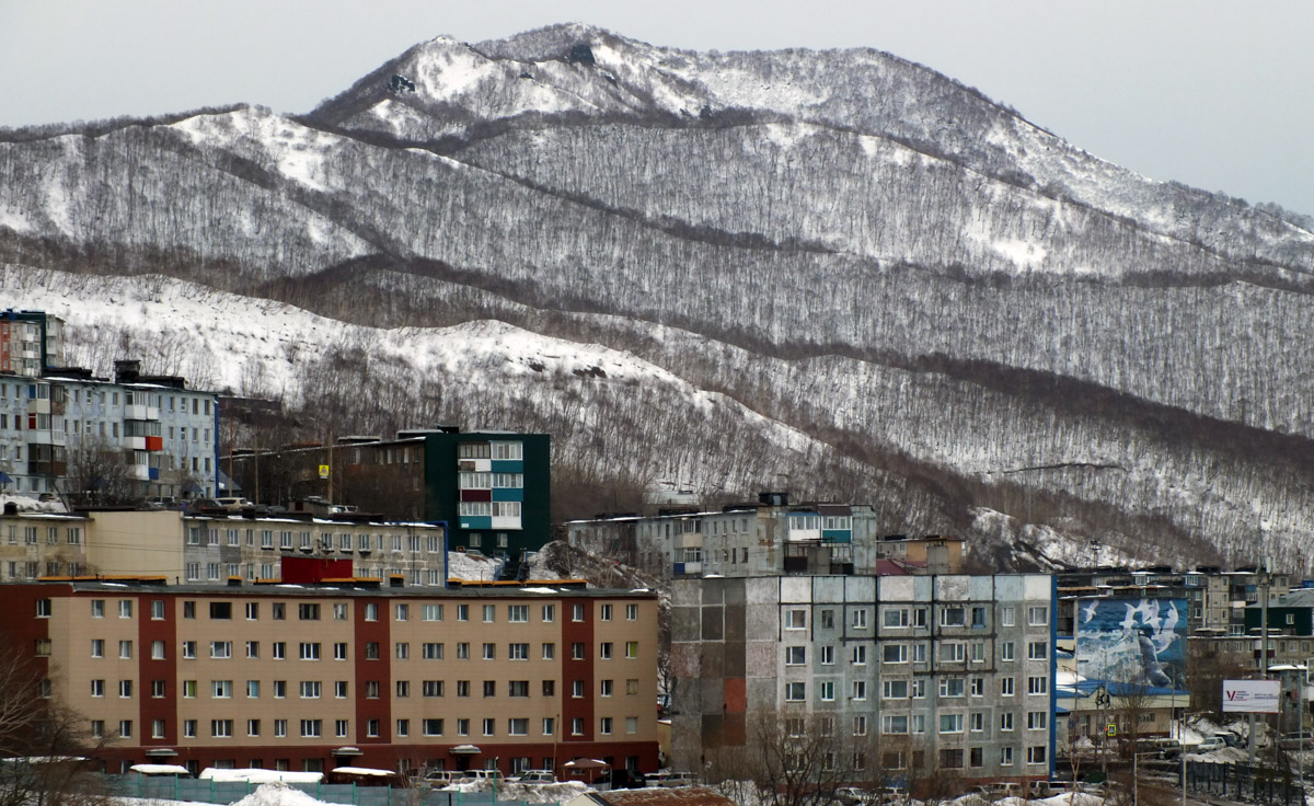 Уличное искусство — лучик света в артхаусе серых панелек. Художники преображают дома и другие объекты, собирая свои произведения в целые творческие районы. Какие граффити-локации есть в России, Беларуси и Грузии, нашему изданию рассказала и показала владимирский архитектор Анастасия Егорова.