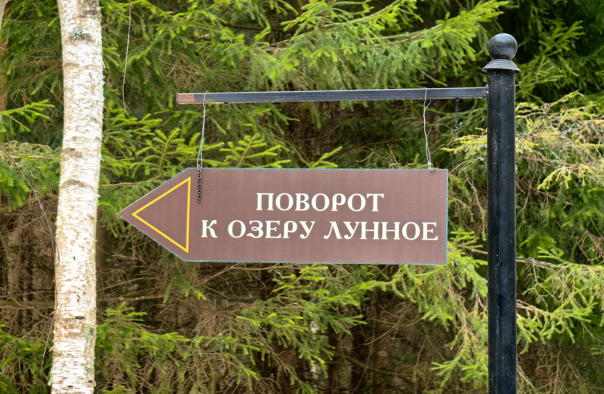 Члены популярного в городе спорт-комьюнити «Владимир» устроили в живописном месте небольшую, но весьма креативную фотосессию. Ребят запечатлели в образе летящего супергероя рядом с их главными напарниками — велосипедами. И снимки получились очень даже правдоподобными.