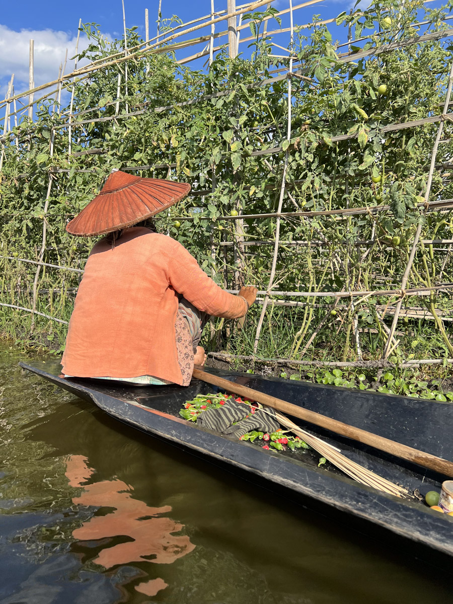 Путешествия для Максима Палагина — не развлечение, а работа. Впрочем, он умудряется сочетать. Автор сюжетов в тревел-программе «Невероятно интересные истории» посетил разные уголки мира: Мьянму, Алжир, Сенегал, Гамбию. Что владимирец там нашел и в каких переделках побывал, узнал «Ключ-Медиа».