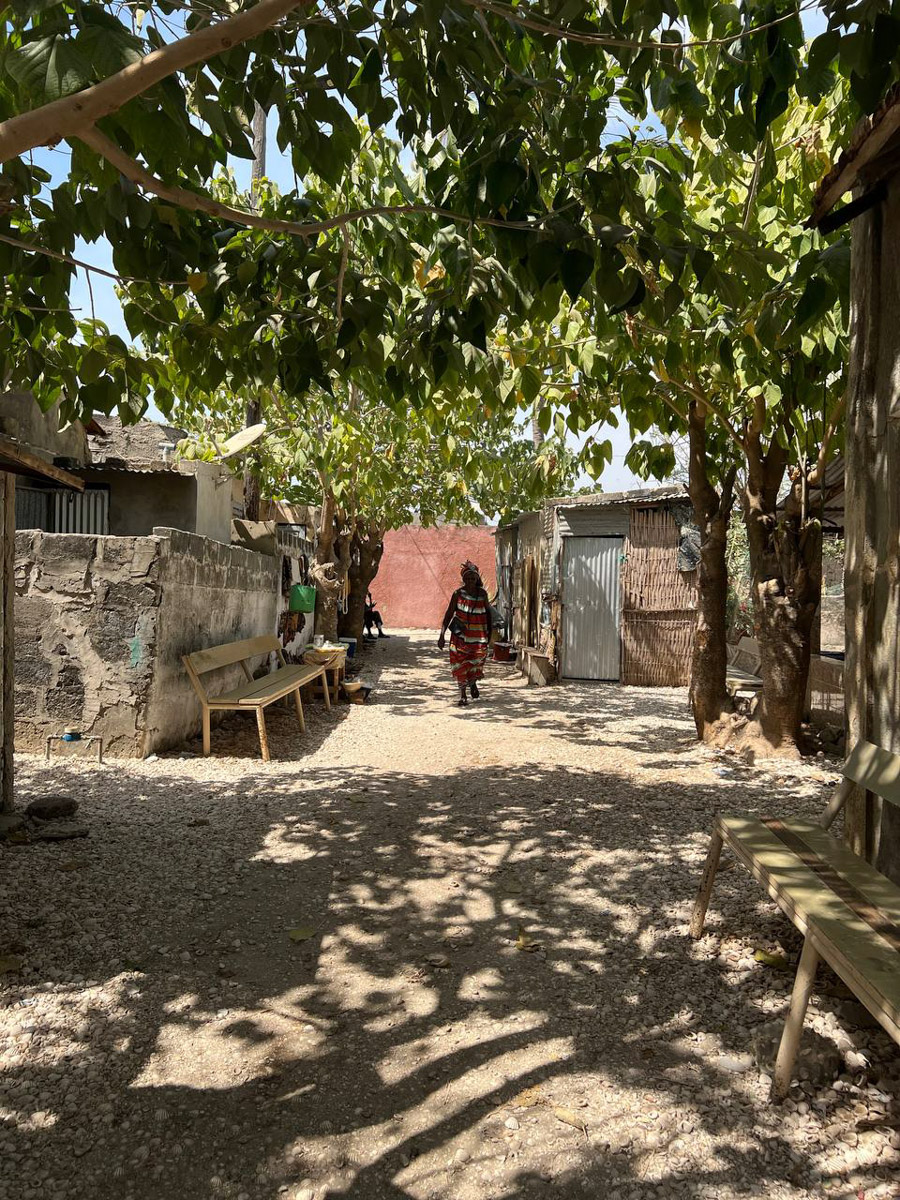 Путешествия для Максима Палагина — не развлечение, а работа. Впрочем, он умудряется сочетать. Автор сюжетов в тревел-программе «Невероятно интересные истории» посетил разные уголки мира: Мьянму, Алжир, Сенегал, Гамбию. Что владимирец там нашел и в каких переделках побывал, узнал «Ключ-Медиа».