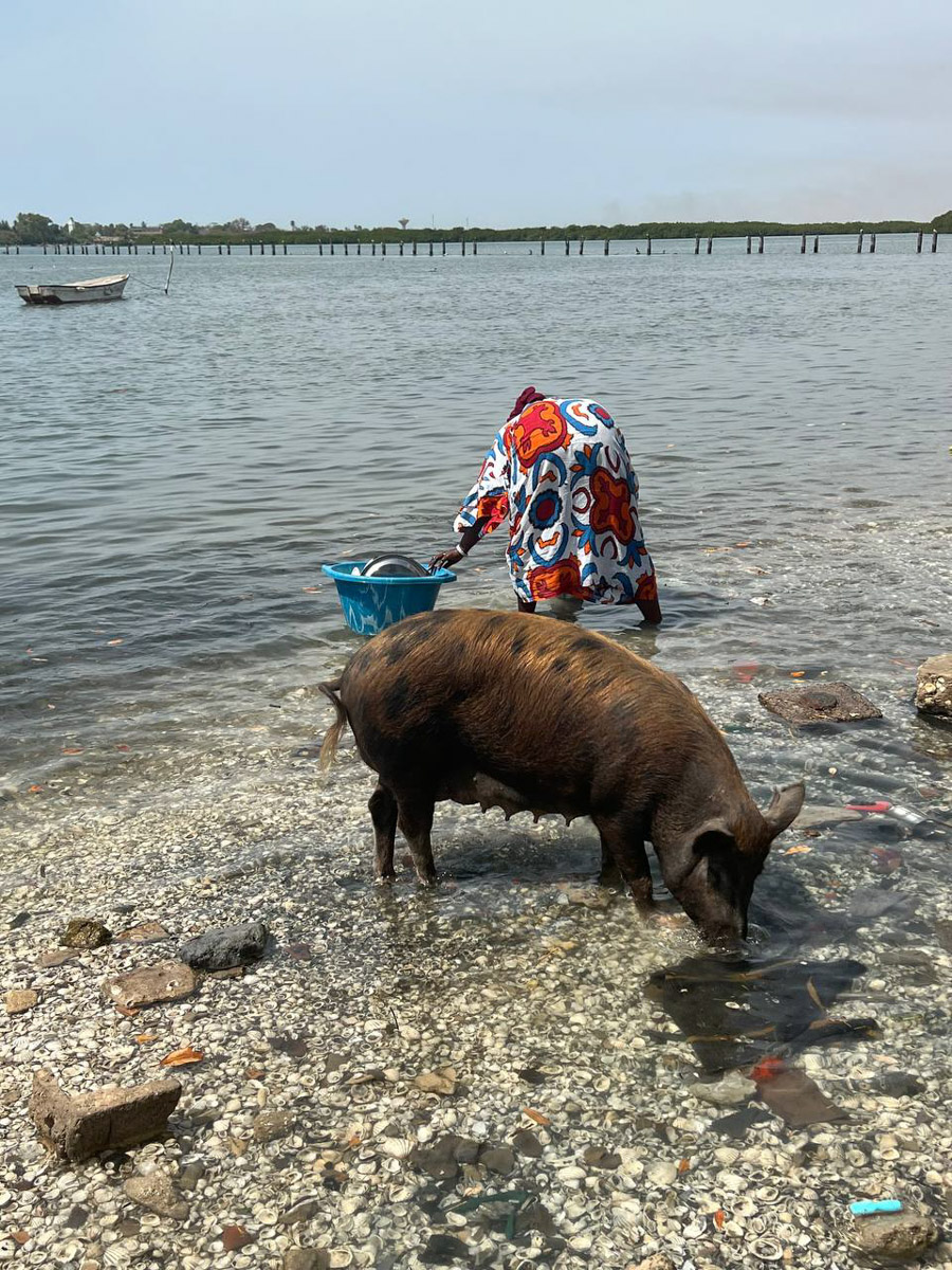Путешествия для Максима Палагина — не развлечение, а работа. Впрочем, он умудряется сочетать. Автор сюжетов в тревел-программе «Невероятно интересные истории» посетил разные уголки мира: Мьянму, Алжир, Сенегал, Гамбию. Что владимирец там нашел и в каких переделках побывал, узнал «Ключ-Медиа».