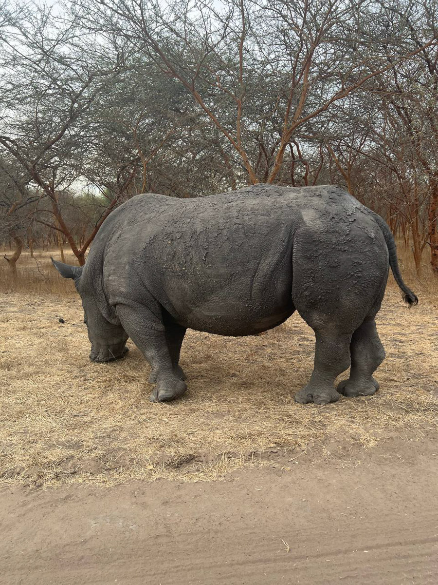 Путешествия для Максима Палагина — не развлечение, а работа. Впрочем, он умудряется сочетать. Автор сюжетов в тревел-программе «Невероятно интересные истории» посетил разные уголки мира: Мьянму, Алжир, Сенегал, Гамбию. Что владимирец там нашел и в каких переделках побывал, узнал «Ключ-Медиа».