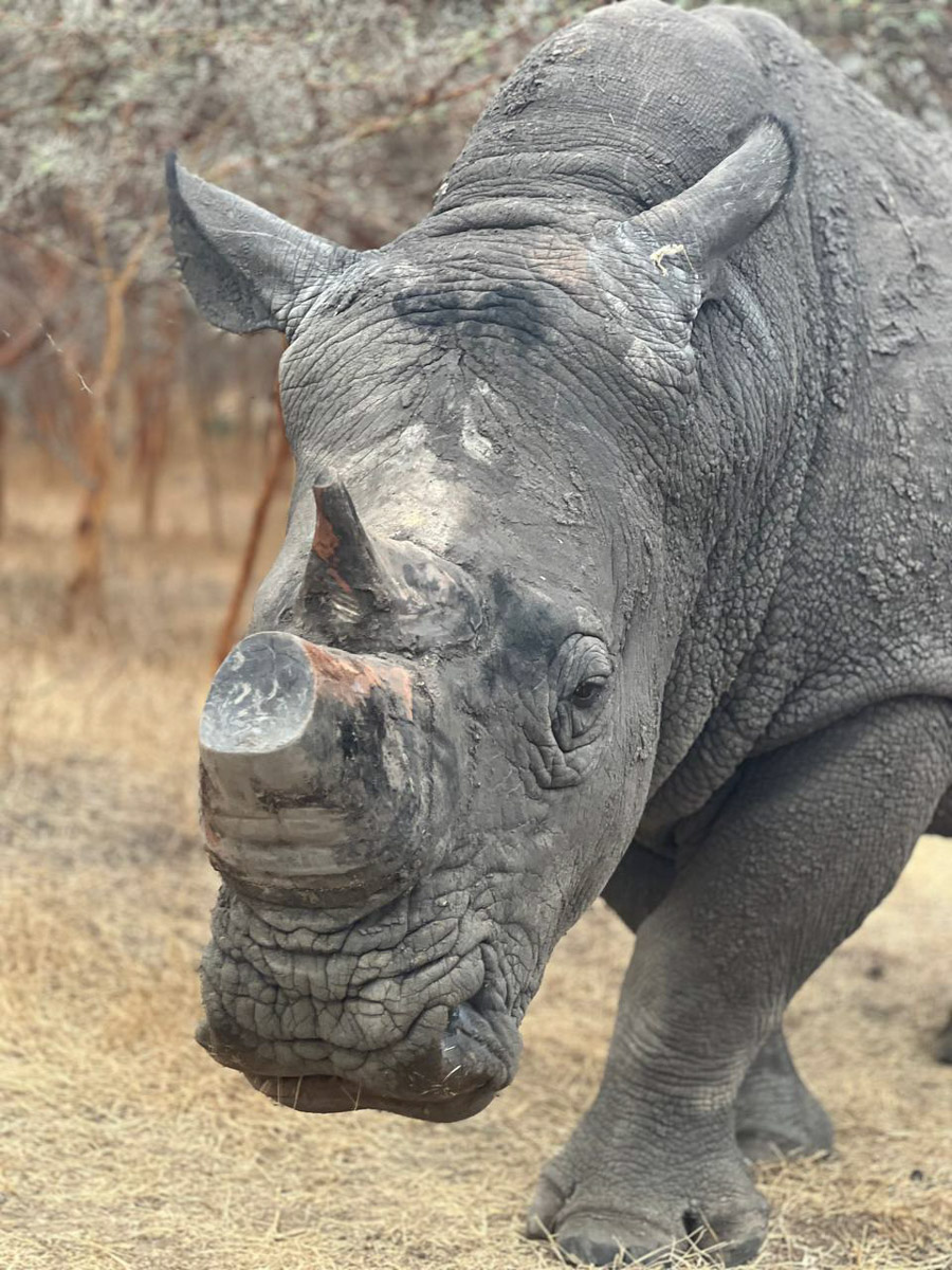 Путешествия для Максима Палагина — не развлечение, а работа. Впрочем, он умудряется сочетать. Автор сюжетов в тревел-программе «Невероятно интересные истории» посетил разные уголки мира: Мьянму, Алжир, Сенегал, Гамбию. Что владимирец там нашел и в каких переделках побывал, узнал «Ключ-Медиа».