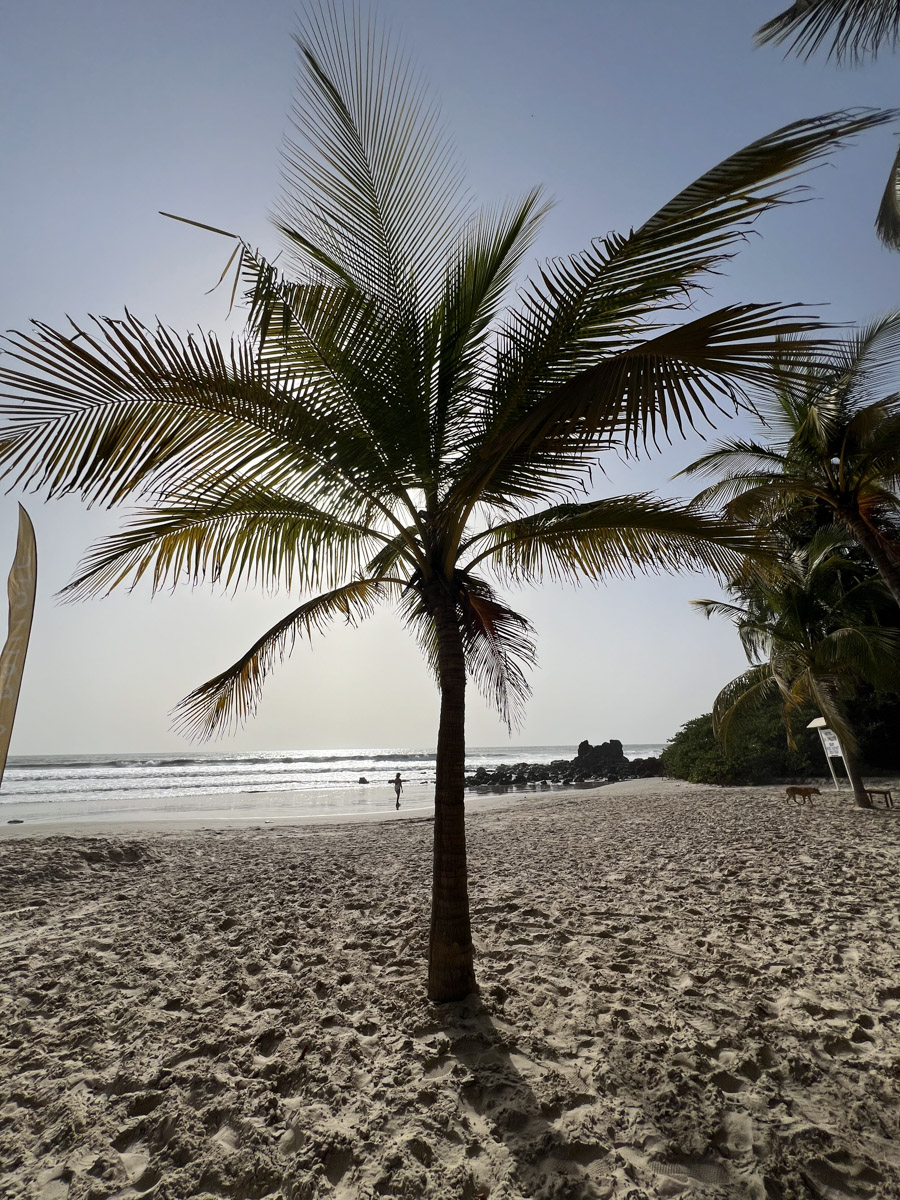 Путешествия для Максима Палагина — не развлечение, а работа. Впрочем, он умудряется сочетать. Автор сюжетов в тревел-программе «Невероятно интересные истории» посетил разные уголки мира: Мьянму, Алжир, Сенегал, Гамбию. Что владимирец там нашел и в каких переделках побывал, узнал «Ключ-Медиа».