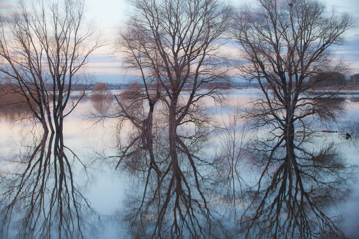 Храм Покрова на Нерли прекрасен в любое время года. А когда наступает пора весеннего разлива, территория вокруг него и вовсе на несколько недель превращается в «маленькую Венецию». Тогда сапы и байдарки становятся самым востребованным способом передвижения по заливному лугу.