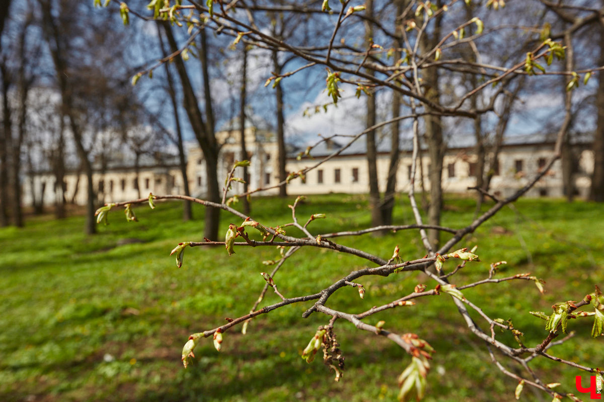 В первой половине XIX века Владимир развивался на основе первого регулярного плана застройки, утверждённого Екатериной II в 1781 году. На смену стихийно сложившейся, хаотичной постройке и кривым улочкам должна была прийти упорядоченная сеть городских кварталов с геометрически чёткой планировкой. На центральной улице стали появляться кирпичные купеческие дома, возводились новые общественные здания в стилистике зрелого классицизма, перестраивались старые. Ведущую роль в этом играл губернский архитектор Алексей Вершинский.
