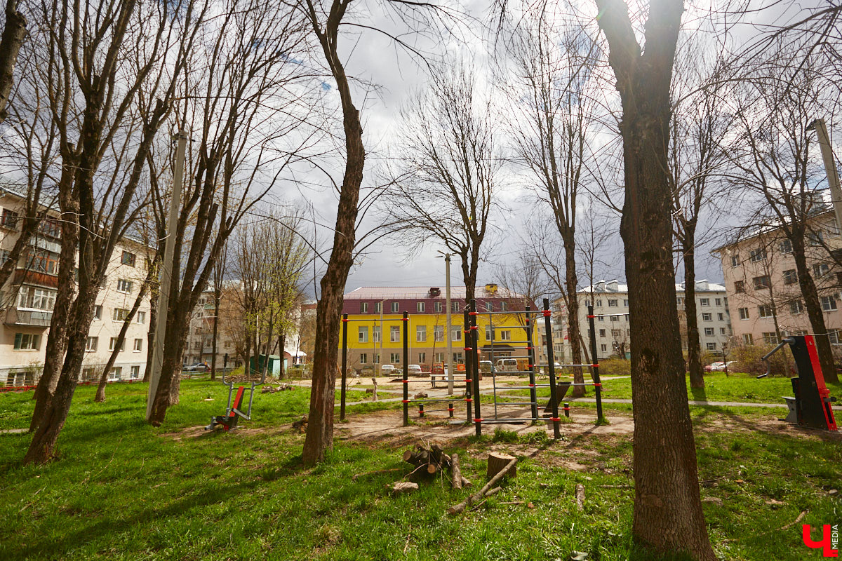Владимирские деревья вновь под угрозой. И на сей раз не из-за желания вырубить их под очередную парковку, а из-за жука-вредителя, по вине которого зелени в столице 33-го региона становится все меньше. Например, сейчас печальная судьба ждет сквер на улице Мира около дома № 25.