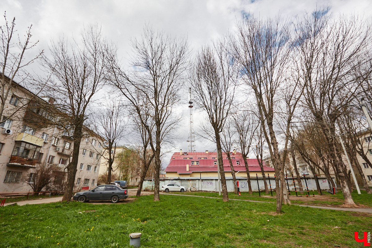 Владимирские деревья вновь под угрозой. И на сей раз не из-за желания вырубить их под очередную парковку, а из-за жука-вредителя, по вине которого зелени в столице 33-го региона становится все меньше. Например, сейчас печальная судьба ждет сквер на улице Мира около дома № 25.