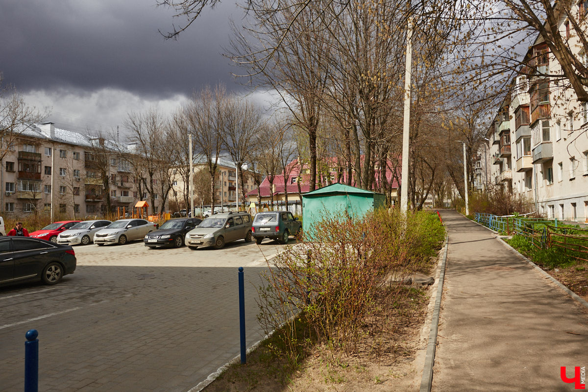 Владимирские деревья вновь под угрозой. И на сей раз не из-за желания вырубить их под очередную парковку, а из-за жука-вредителя, по вине которого зелени в столице 33-го региона становится все меньше. Например, сейчас печальная судьба ждет сквер на улице Мира около дома № 25.