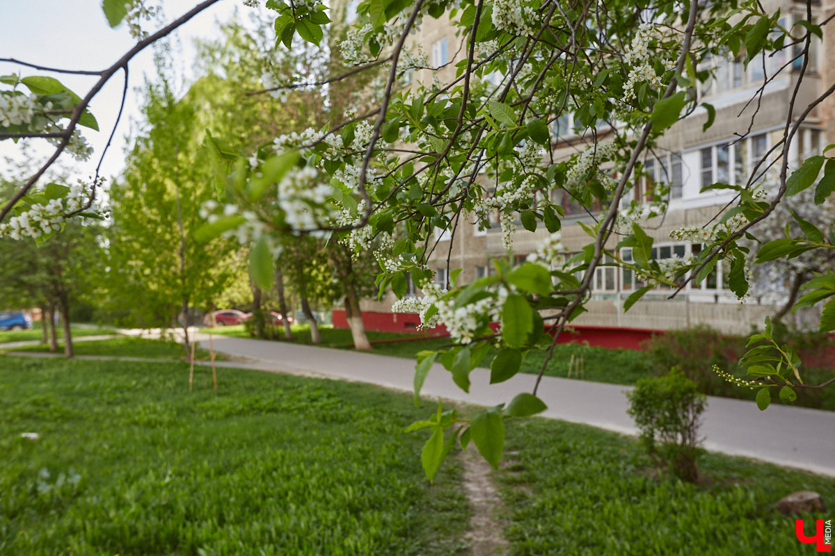Во Владимире завершилось народное голосование за благоустройство городских локаций в будущем году. Всего участие в нем приняли более 59,5 тысяч человек. На сей раз с большим отрывом вперед вырвались сразу два проекта.