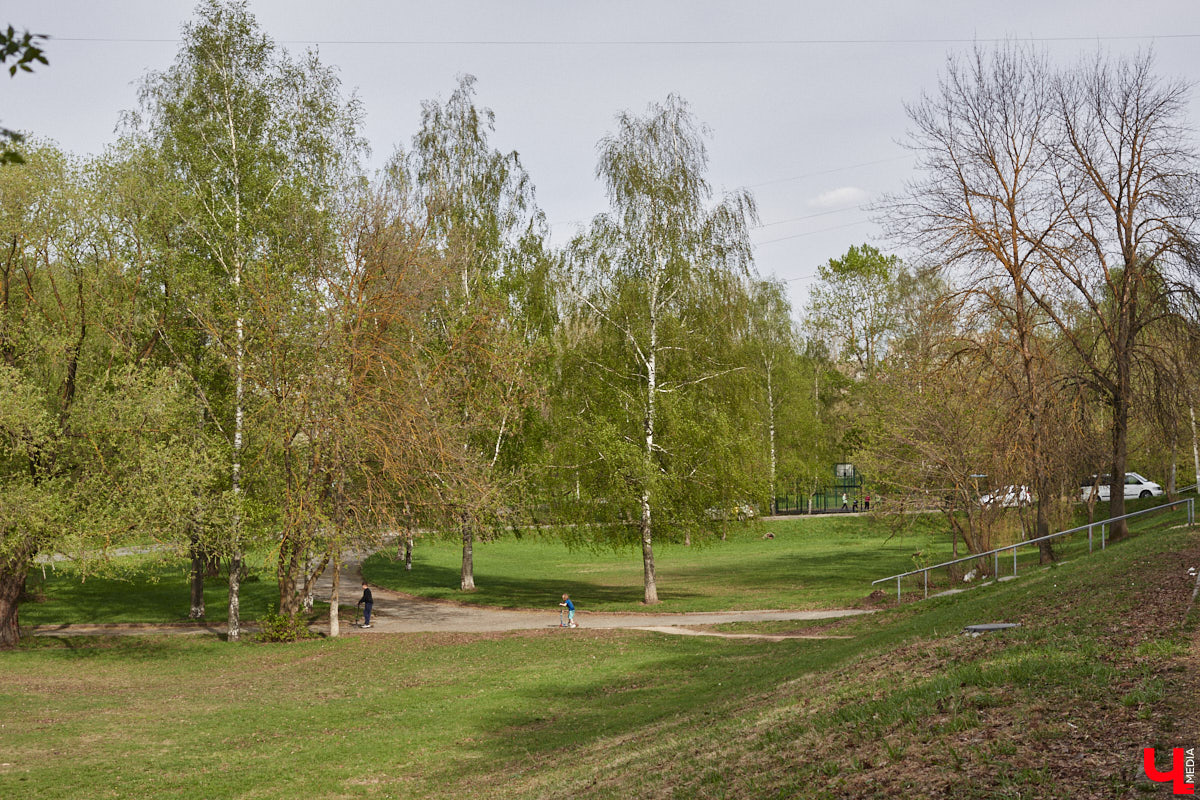 Во Владимире завершилось народное голосование за благоустройство городских локаций в будущем году. Всего участие в нем приняли более 59,5 тысяч человек. На сей раз с большим отрывом вперед вырвались сразу два проекта.
