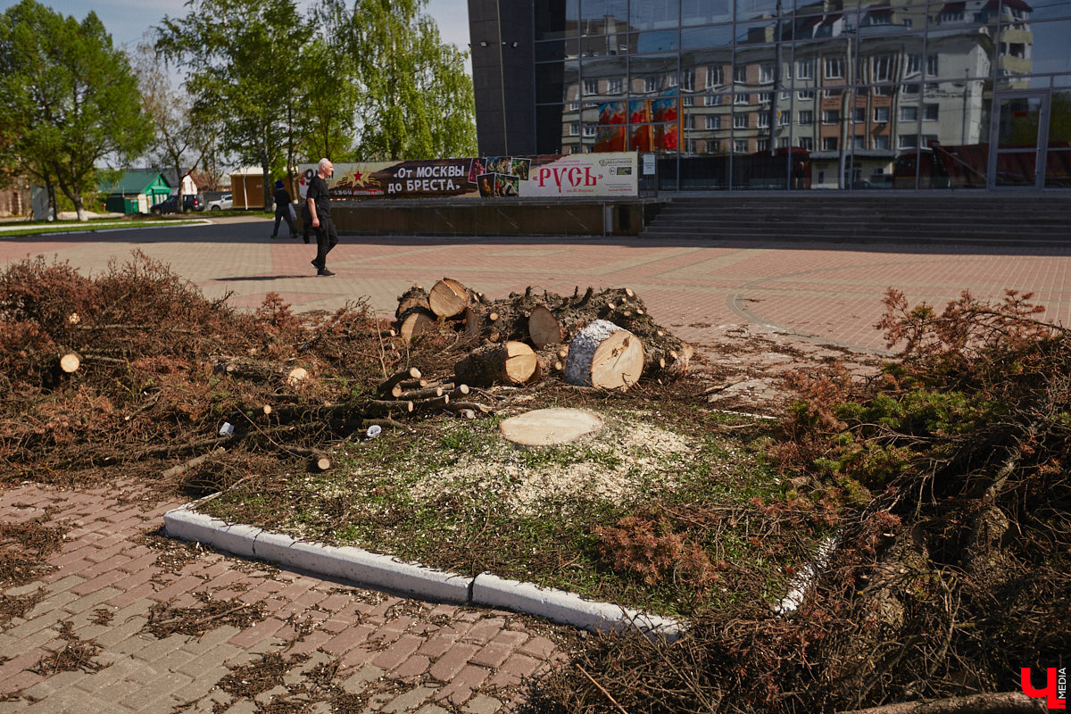 Город вновь не досчитался деревьев. На сей раз под удар попали две сухие ели на Садовой площади возле областной филармонии. Спиленные вечнозеленые планируют заменить другими растениями. И не исключено, что не абы где, а именно в центре города.