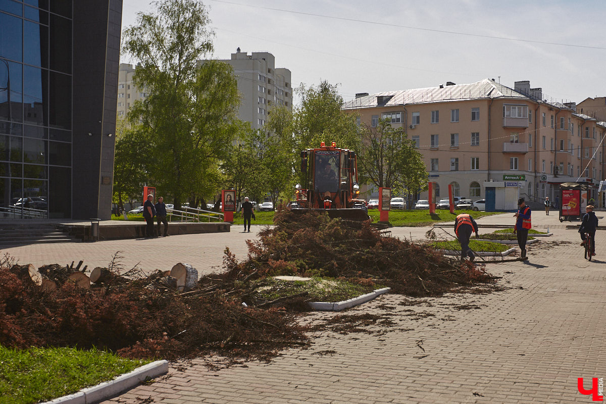 Город вновь не досчитался деревьев. На сей раз под удар попали две сухие ели на Садовой площади возле областной филармонии. Спиленные вечнозеленые планируют заменить другими растениями. И не исключено, что не абы где, а именно в центре города.