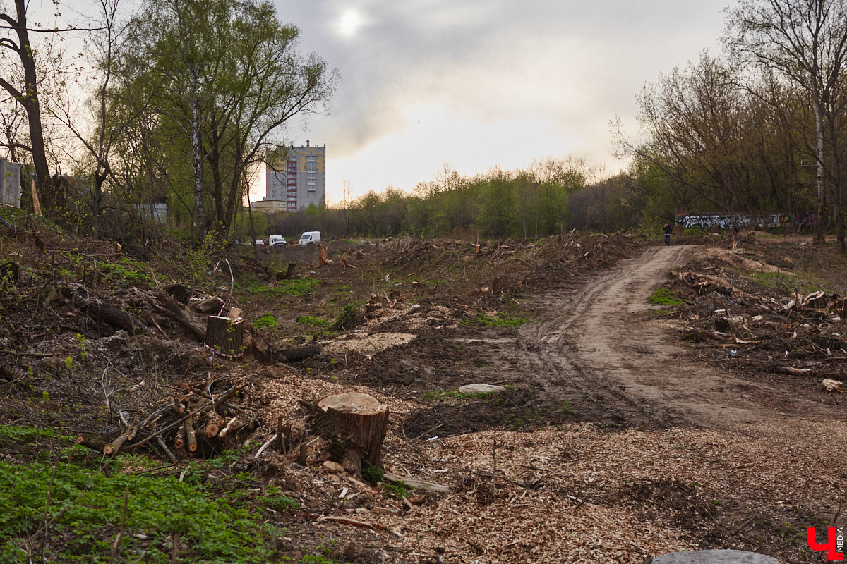 Город вновь не досчитался деревьев. На сей раз под удар попали две сухие ели на Садовой площади возле областной филармонии. Спиленные вечнозеленые планируют заменить другими растениями. И не исключено, что не абы где, а именно в центре города.