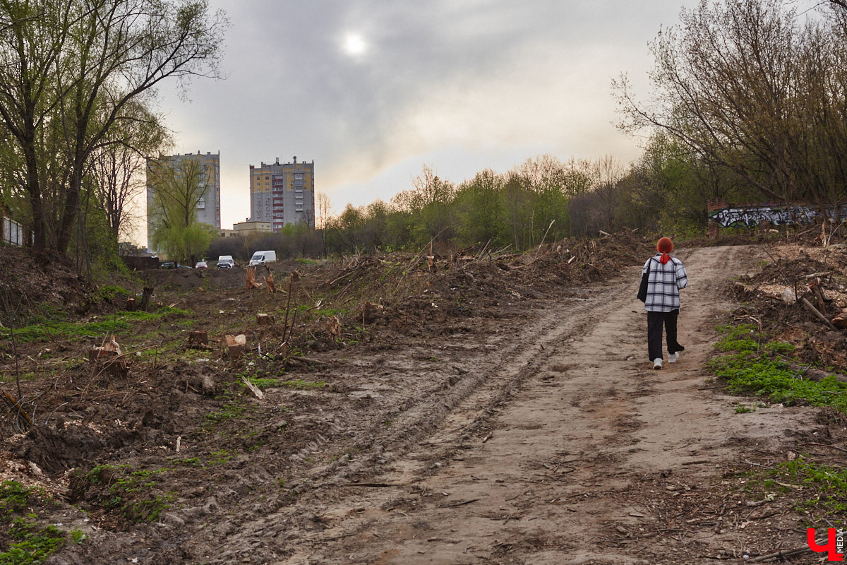 Город вновь не досчитался деревьев. На сей раз под удар попали две сухие ели на Садовой площади возле областной филармонии. Спиленные вечнозеленые планируют заменить другими растениями. И не исключено, что не абы где, а именно в центре города.