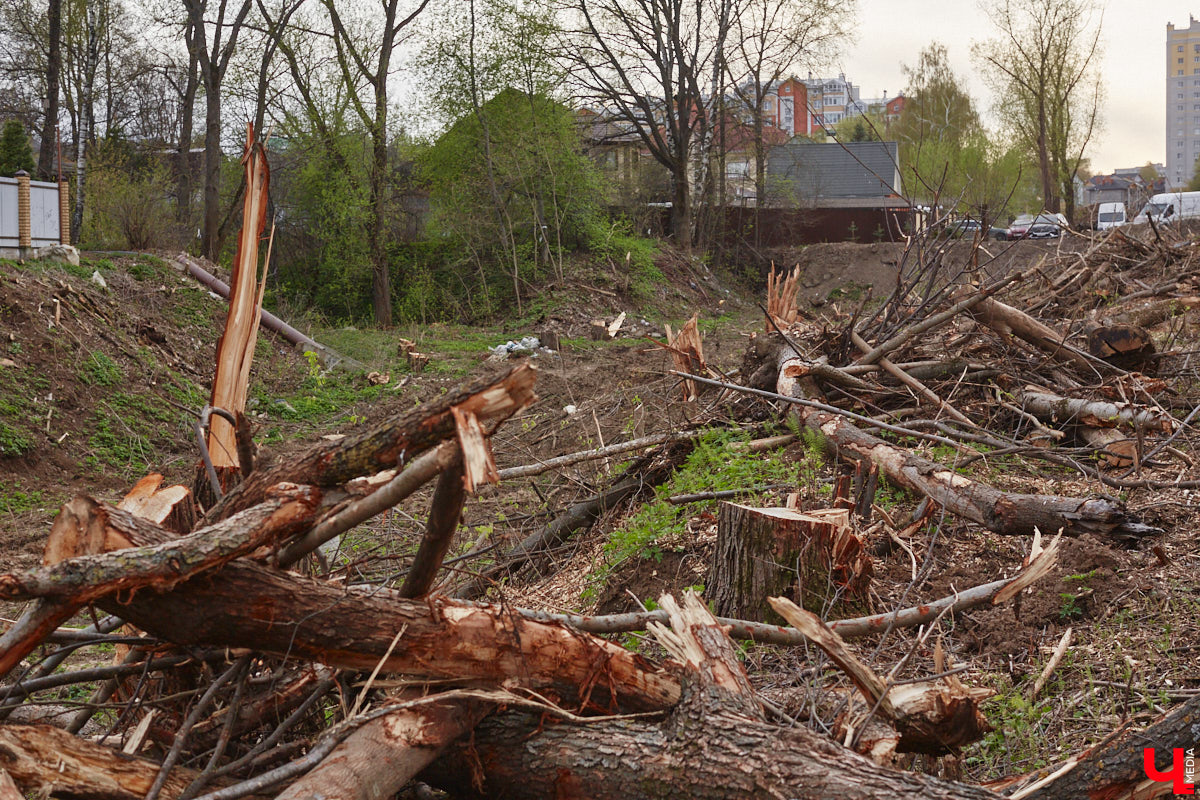 Город вновь не досчитался деревьев. На сей раз под удар попали две сухие ели на Садовой площади возле областной филармонии. Спиленные вечнозеленые планируют заменить другими растениями. И не исключено, что не абы где, а именно в центре города.