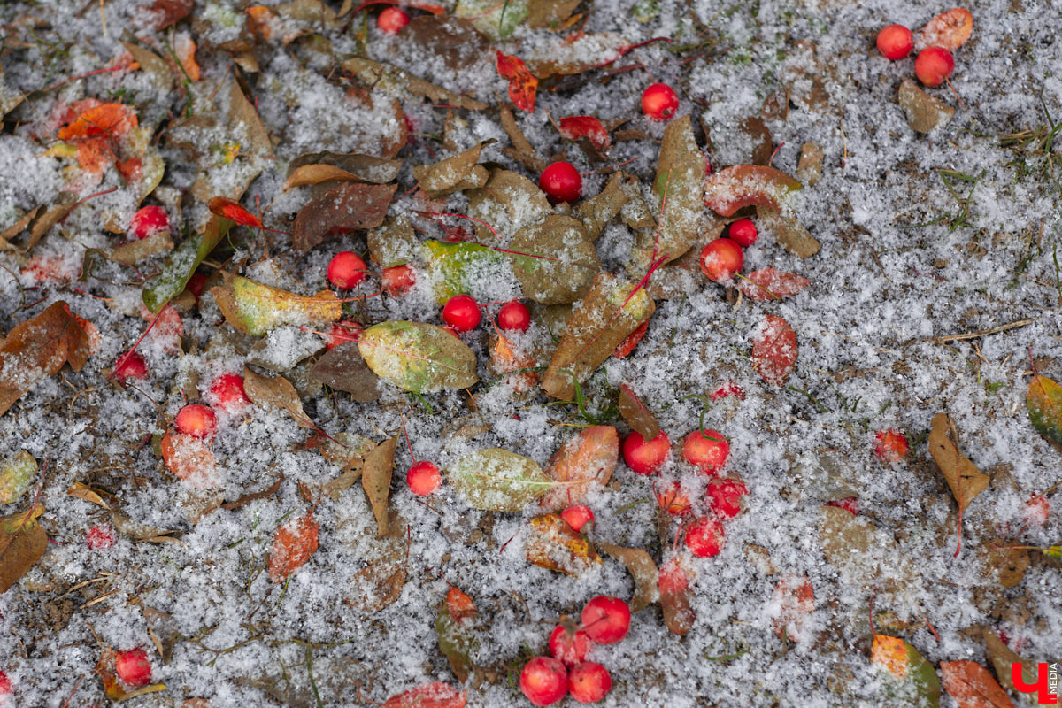 Шашлыки отменяются. Синоптики утверждают, что такого холодного 9 мая, какое будет в этом году, мы не видели четверть века. Да и в целом неделя предстоит та еще! С заморозками, снегом и дождями. Рассказываем, когда же закончится погодное безобразие.