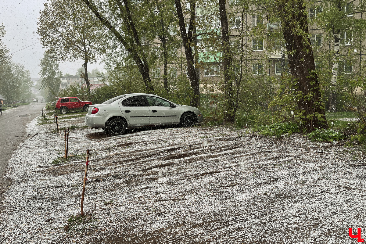 Ультраполярное вторжение серьезно подкорректировало наши планы на праздники: лишь самые смелые выезжали на шашлыки в снегопад. Но теперь можно выдохнуть, ведь тепло возвращается, правда, не вприпрыжку, а как-то неторопливо, вразвалочку.