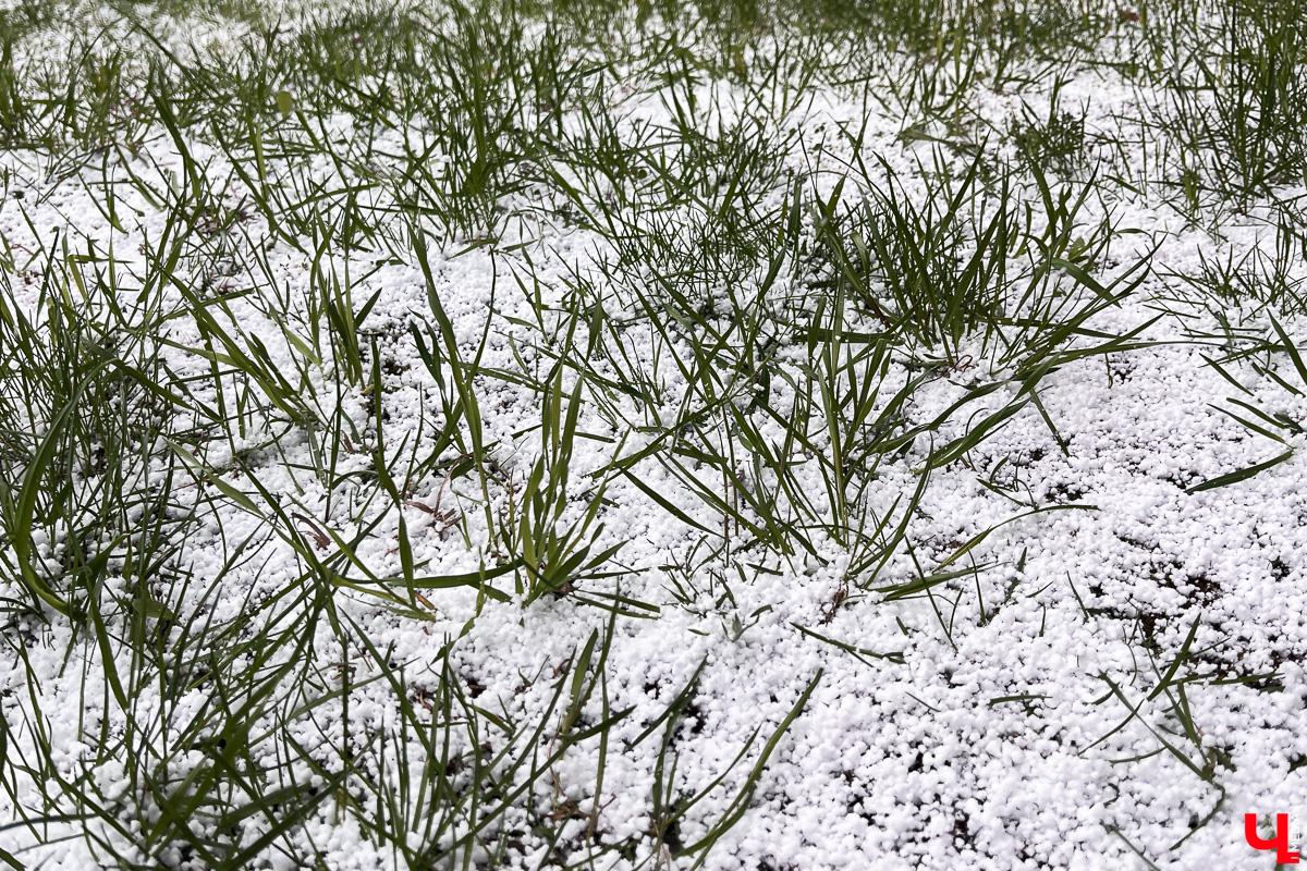 Ультраполярное вторжение серьезно подкорректировало наши планы на праздники: лишь самые смелые выезжали на шашлыки в снегопад. Но теперь можно выдохнуть, ведь тепло возвращается, правда, не вприпрыжку, а как-то неторопливо, вразвалочку.