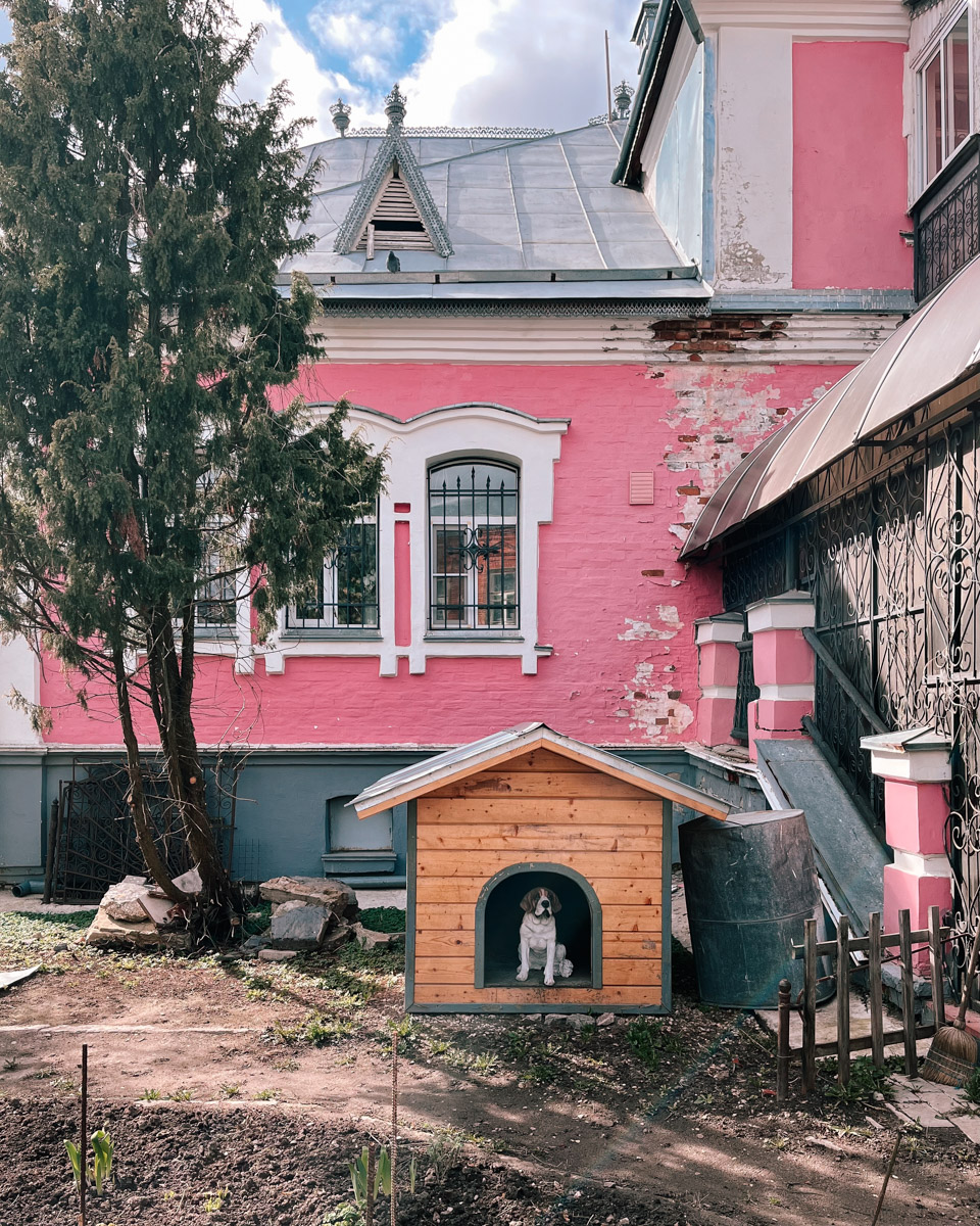 Суздаль синий, как река Каменка, или золотой, как купола церквей, но никак не розовый! Хотя почему бы и нет? Именно таким увидел его однажды фотограф и путешественник Андрей Белавин. Он прошелся по улицам с телефоном в руке и показал, каким древний город еще может быть.