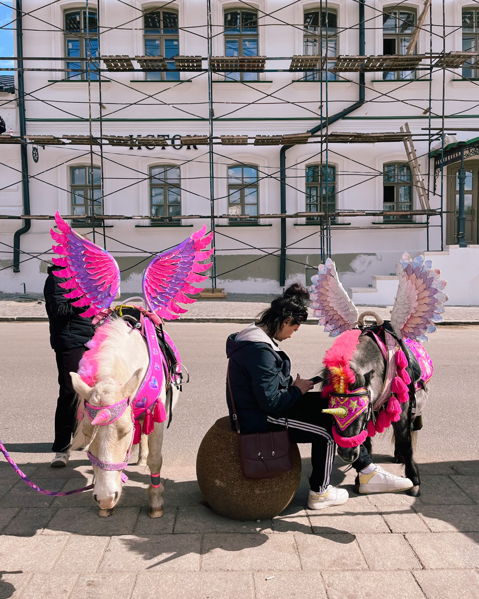 Суздаль синий, как река Каменка, или золотой, как купола церквей, но никак не розовый! Хотя почему бы и нет? Именно таким увидел его однажды фотограф и путешественник Андрей Белавин. Он прошелся по улицам с телефоном в руке и показал, каким древний город еще может быть.