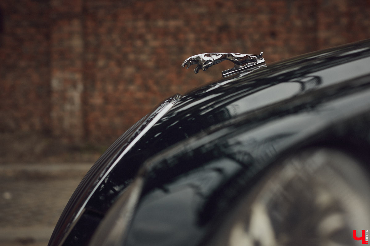 Есть машины точь-в-точь как женщины: нельзя не проводить взглядом! Jaguar Олега Костенко из их числа. Темно-зеленому седану на владимирских улицах не удается остаться незамеченным. Привлек он и наше внимание. О том, каково это — управлять одним из самых статусных автомобилей в мире, его владелец поведал «Ключ-Медиа».