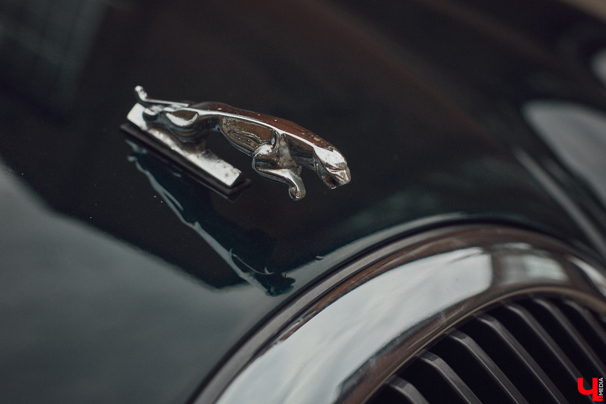 Есть машины точь-в-точь как женщины: нельзя не проводить взглядом! Jaguar Олега Костенко из их числа. Темно-зеленому седану на владимирских улицах не удается остаться незамеченным. Привлек он и наше внимание. О том, каково это — управлять одним из самых статусных автомобилей в мире, его владелец поведал «Ключ-Медиа».