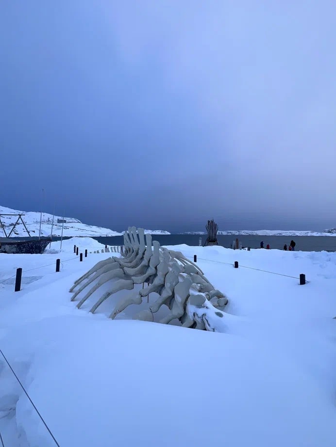 Этой весной свадебные фотографы Сергей и Анна Соколовы родом из Владимира в компании семилетней дочки Василисы целых три недели провели путешествуя по Заполярью. Семья успела поплавать среди льдин, побывать на самом краю света и покататься на лыжах на горном курорте.