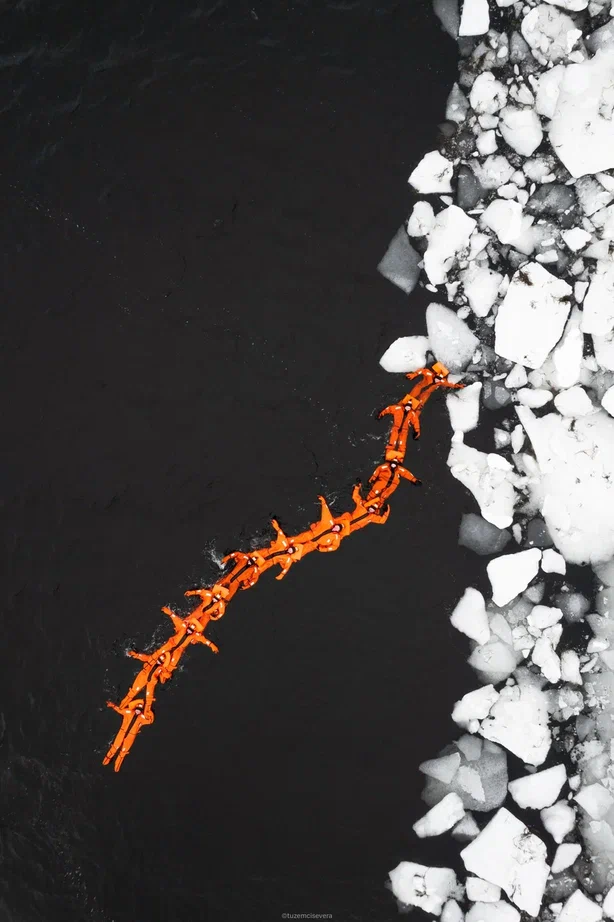 Этой весной свадебные фотографы Сергей и Анна Соколовы родом из Владимира в компании семилетней дочки Василисы целых три недели провели путешествуя по Заполярью. Семья успела поплавать среди льдин, побывать на самом краю света и покататься на лыжах на горном курорте.