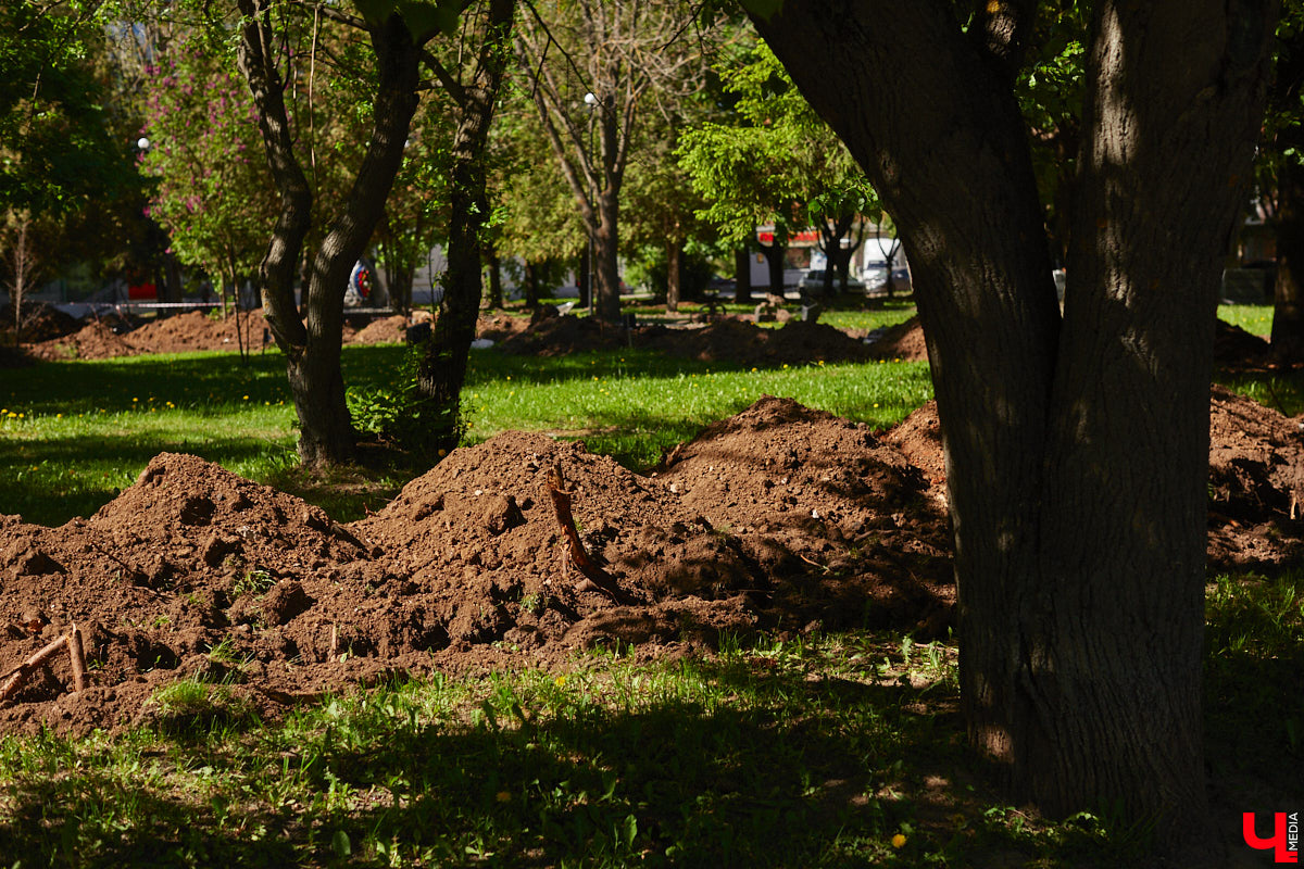 Летом 2025-го сквер на улице Соколова-Соколенка в Добром ждет реконструкция. Именно он стал победителем онлайн-голосования этого года. А пока во Владимире идет благоустройство еще двух общественных пространств в разных частях города. Все подробности — в нашем фоторепортаже.